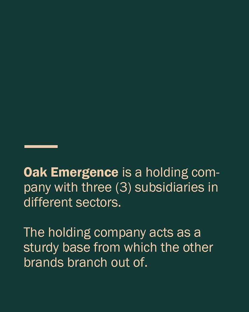 Brand Identity Design for Oak Emergence 4