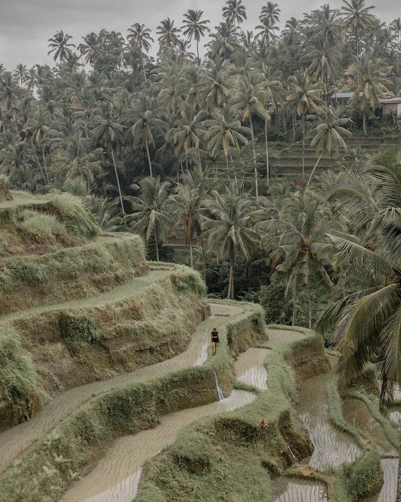 Paisaje por Helena Palau Arvizu Helena Palau Arvizu.