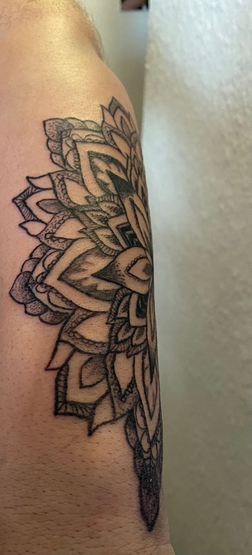 Mi Proyecto del curso: Tatuaje para principiantes 5