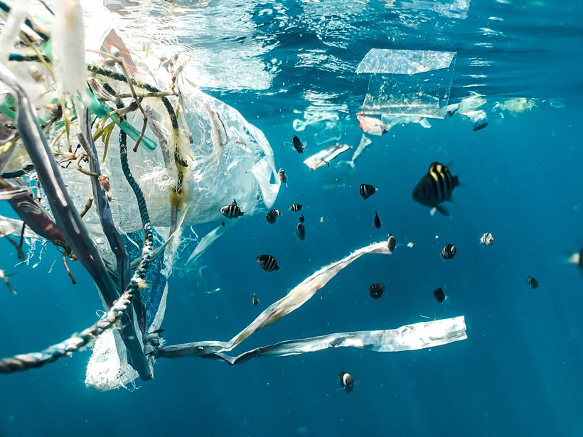 O plástico é uma das maiores ameaças à vida marinha