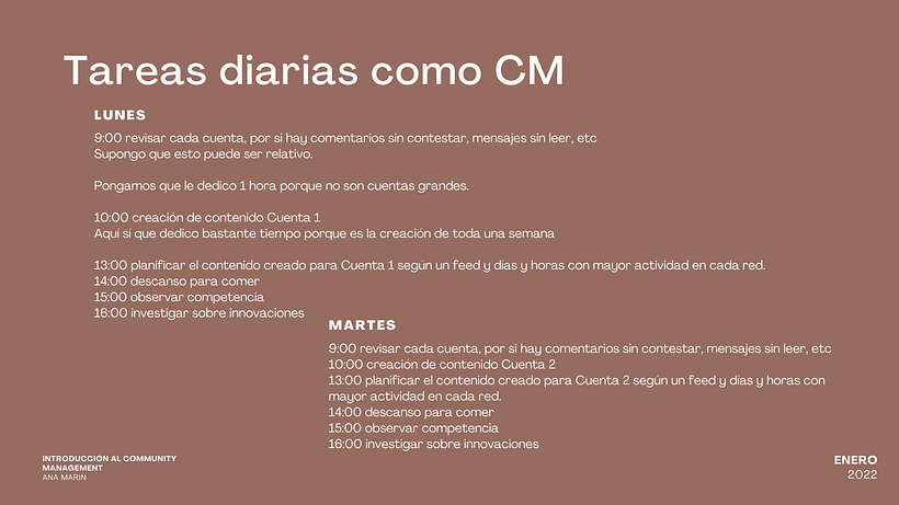 Mi Proyecto del curso: Introducción al community management 11