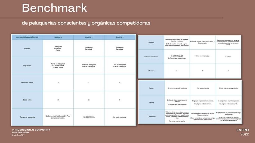 Mi Proyecto del curso: Introducción al community management 14