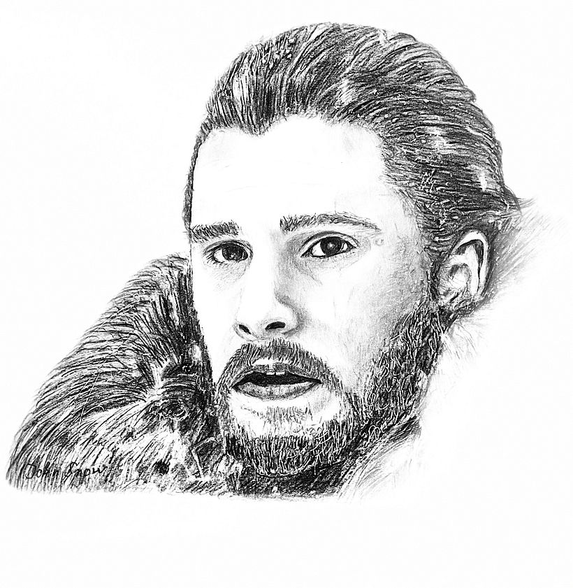 John Snow, Kohleportrait