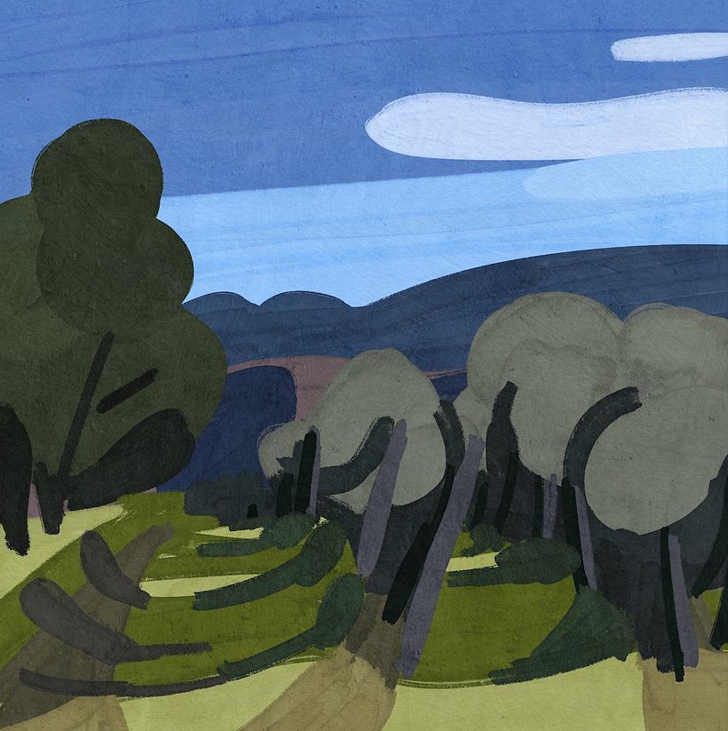 Tuscany countryside, Winter 2021 3