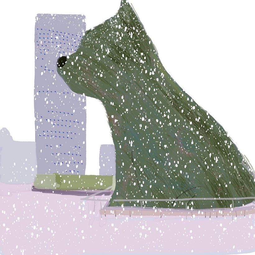 Mis primeros dibujos 15