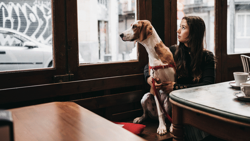 Algunos de los retratos de Mestizaa.