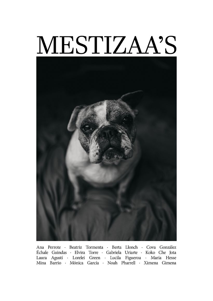 Así luce la portada de Mestizaa´s.