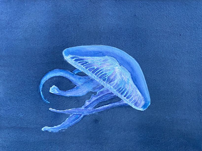 Moderne Aquarelltechniken 1