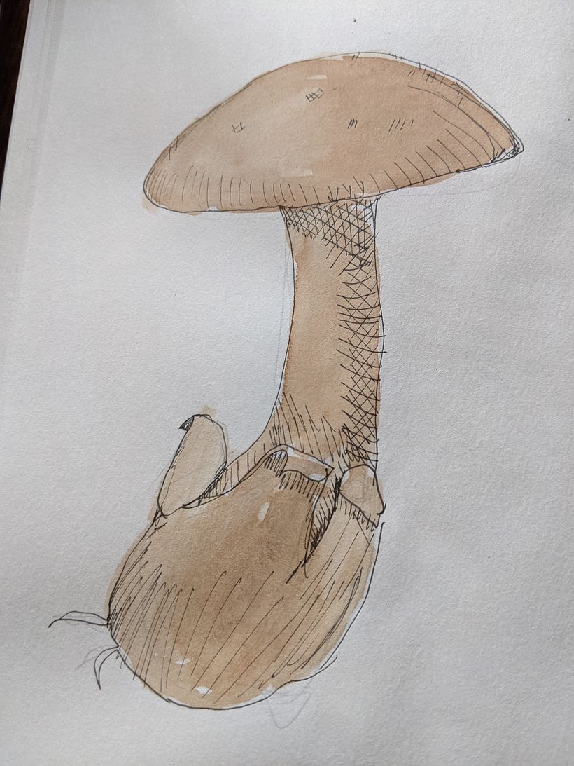 I loved this style of drawing and colouring. this seems to be my go to. Now I need to forced myself out of my comfort zone.