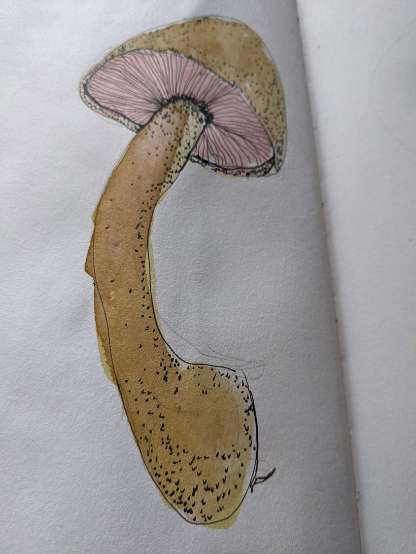 My project in Botanical Watercolor Sketchbook course 12
