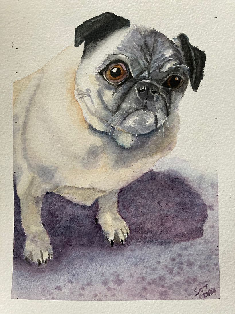 The finished painting 