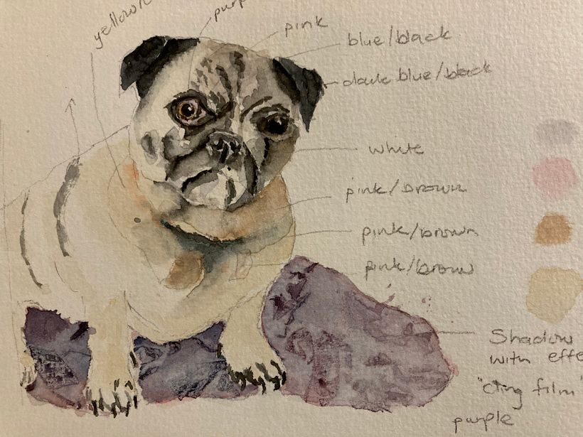 Rough painting to decide on colours and technique