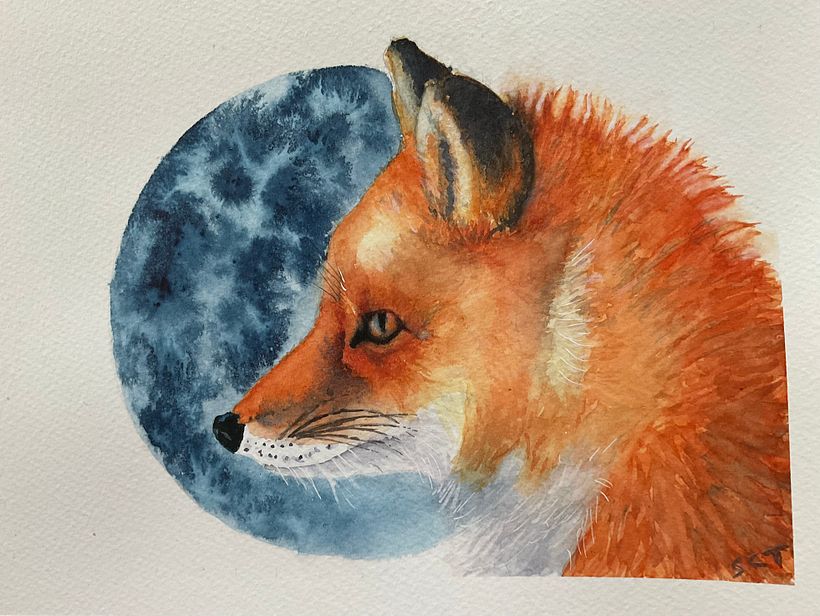 My fox