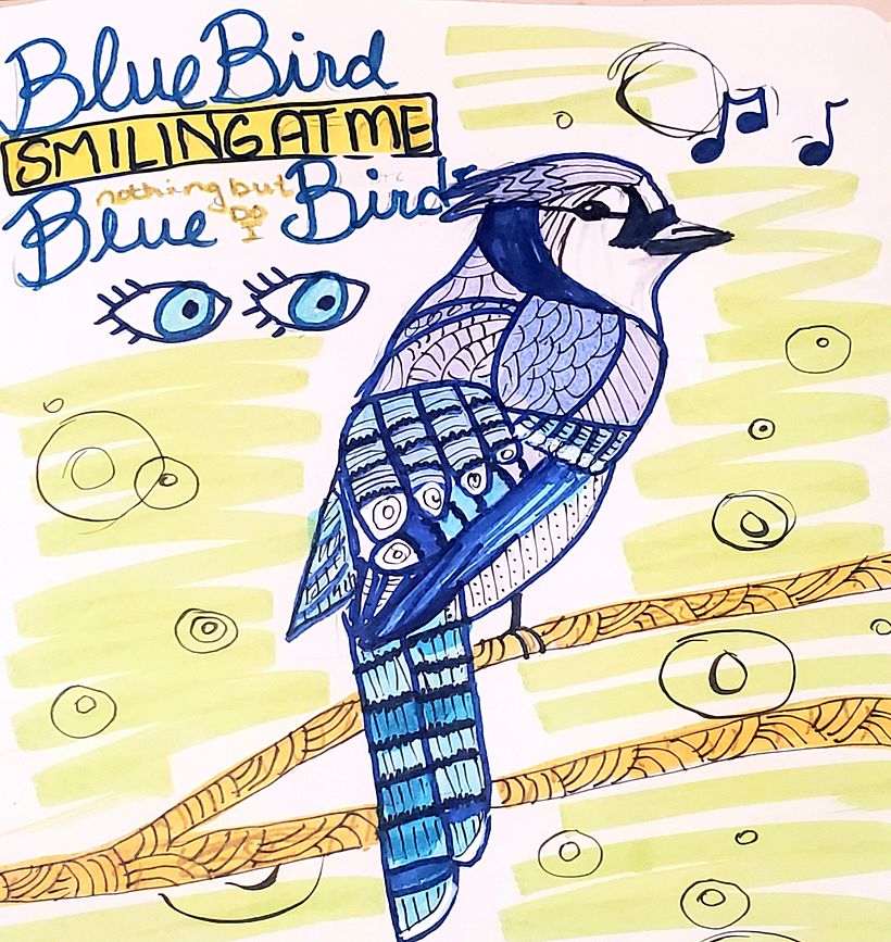 Bird