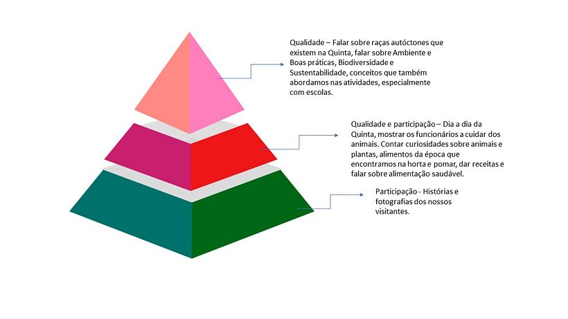Meu projeto do curso: Estratégia para redes sociais: conecte com seus seguidores 4
