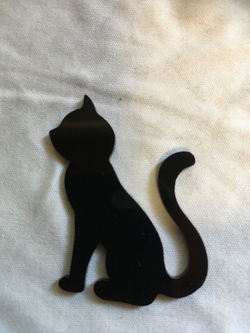 Plexi cat