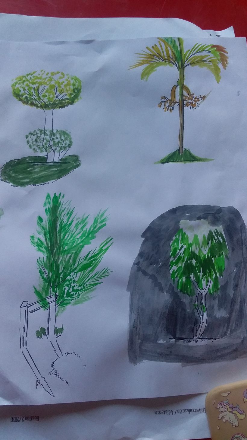 Mi Proyecto del curso: Dibujo para principiantes nivel -1 12