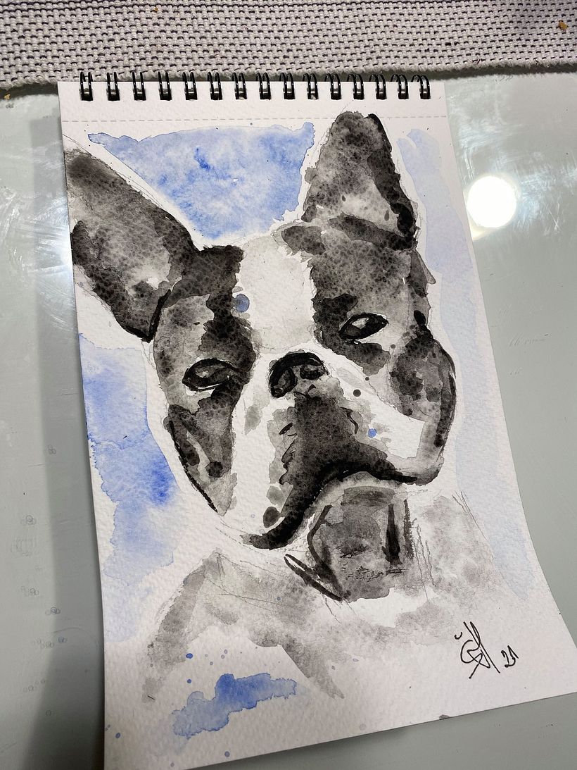 Some of my projects with watercolors ... 1