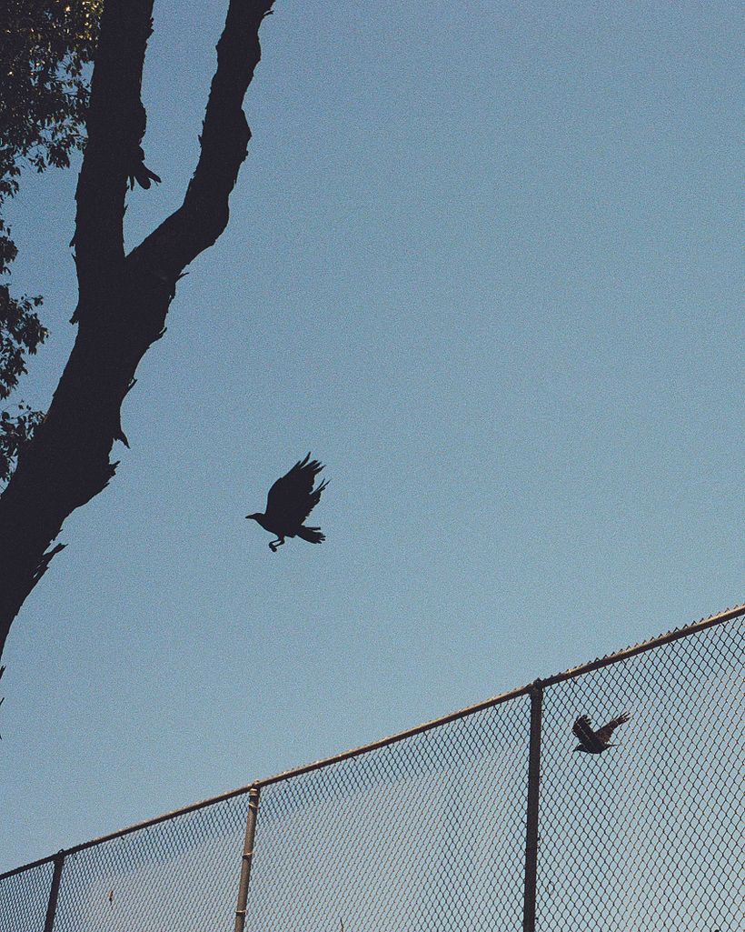 No Title Yet Journal - Part I  3