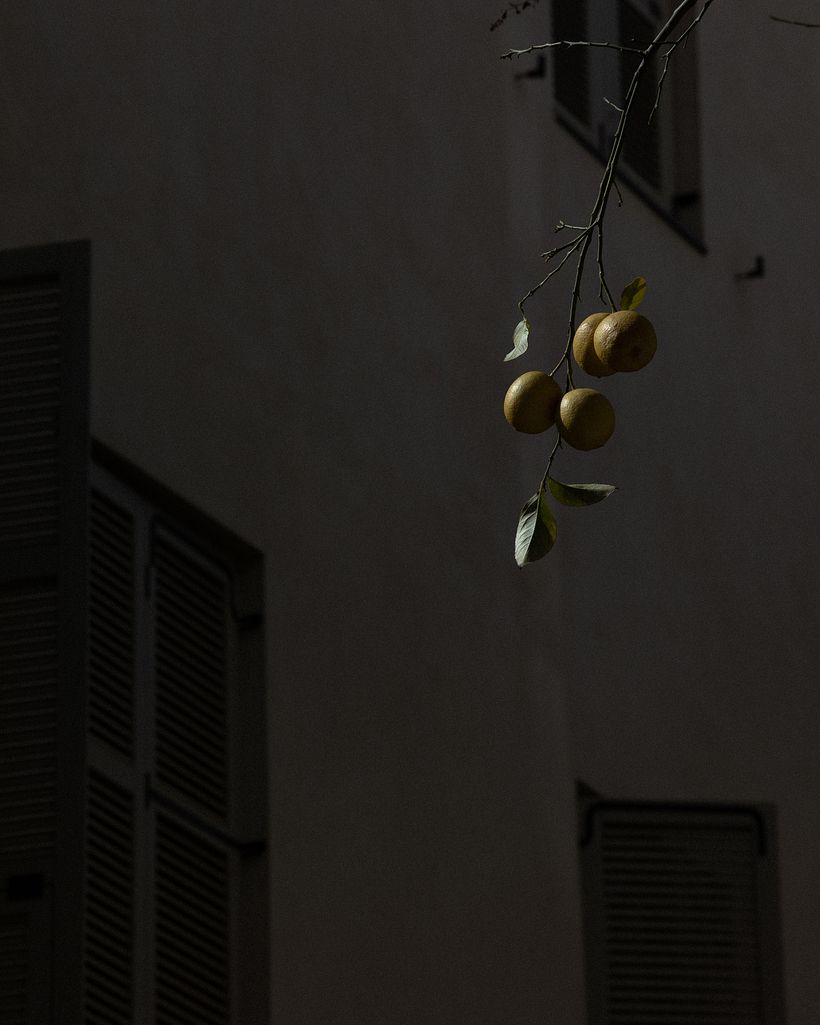 No Title Yet Journal - Part I  5