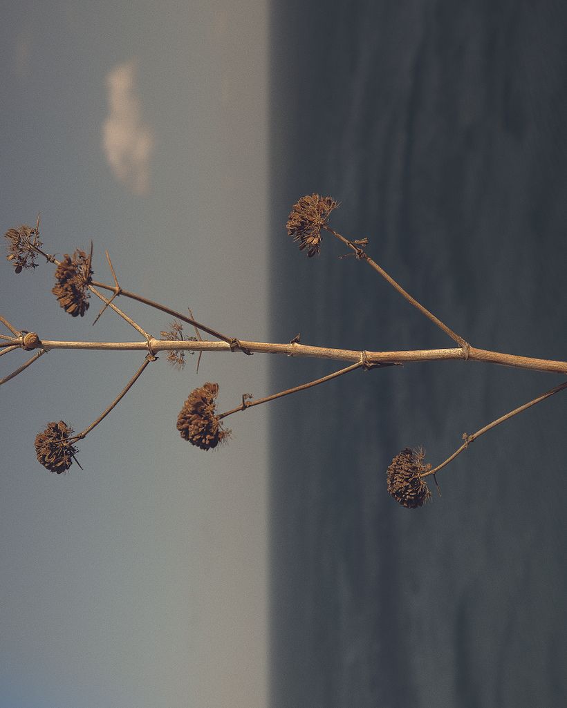 No Title Yet Journal - Part II 8