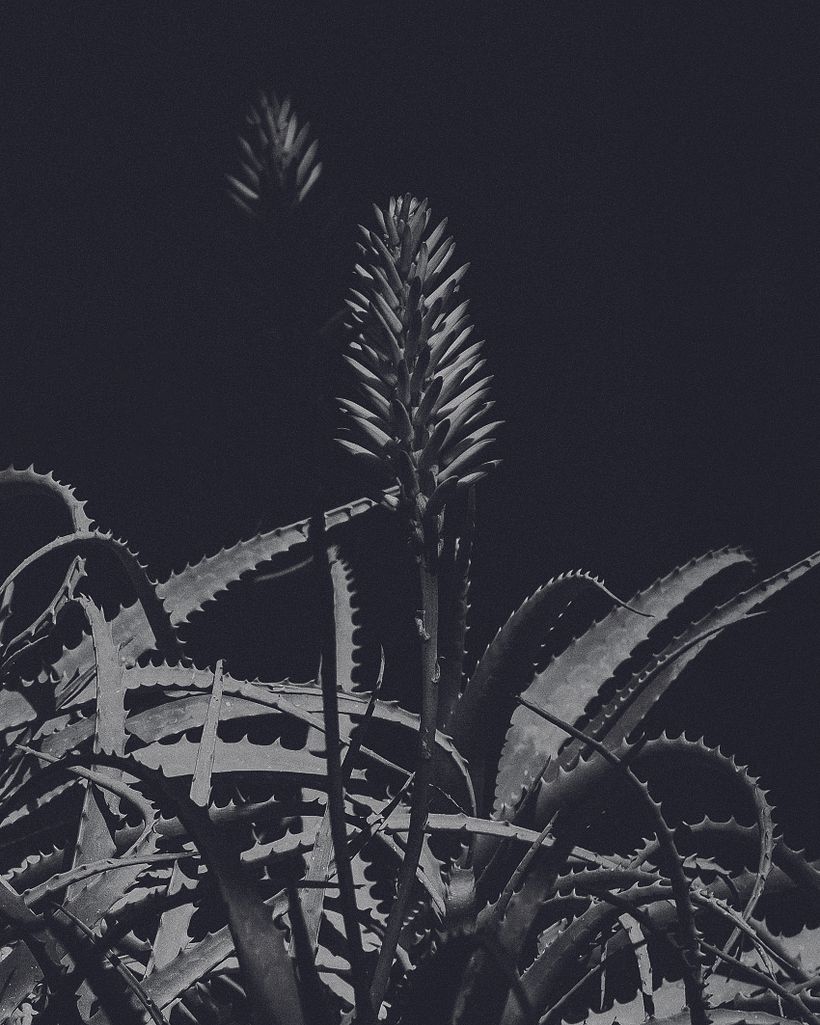 No Title Yet Journal - Part II 12