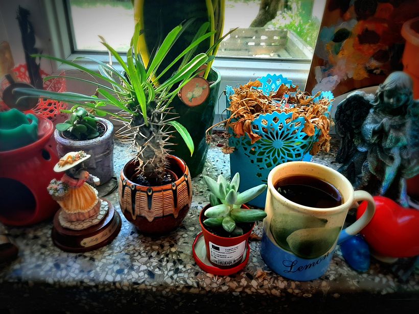 Still life with a coffee mug