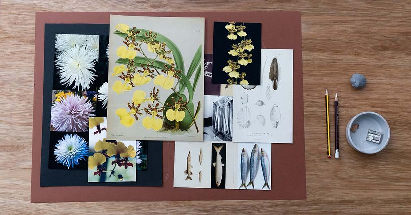 Building a moodboard of inspiring images can help generate original floral patterns.