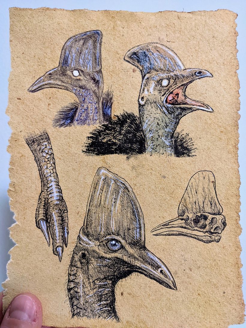 My project in Daily Sketching for Creative Inspiration course 7
