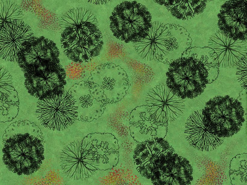 Plan brushes I created