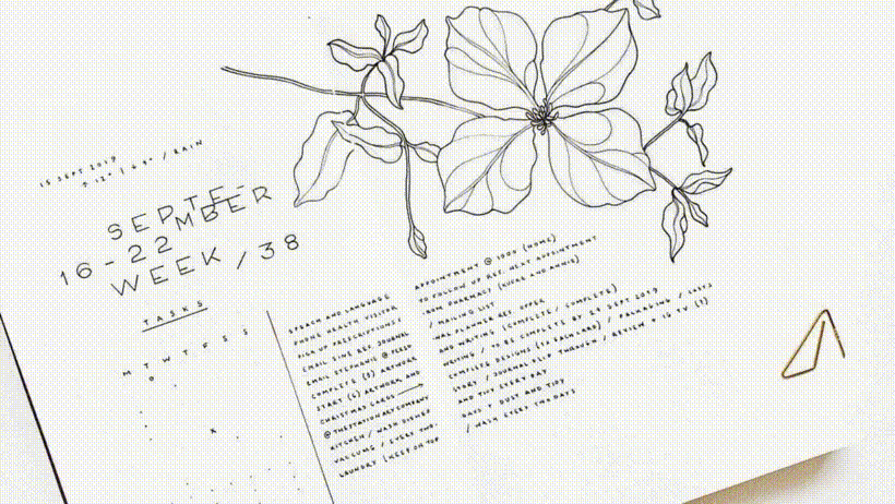 5 Bullet Journals Accounts, die deine Arbeit inspirieren werden 1