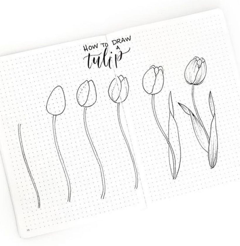 5 Bullet Journals Accounts, die deine Arbeit inspirieren werden 3