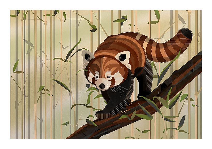 I have finally finished the course! This was really useful, and I enjoyed trying some new techniques. Thank you Dieter!