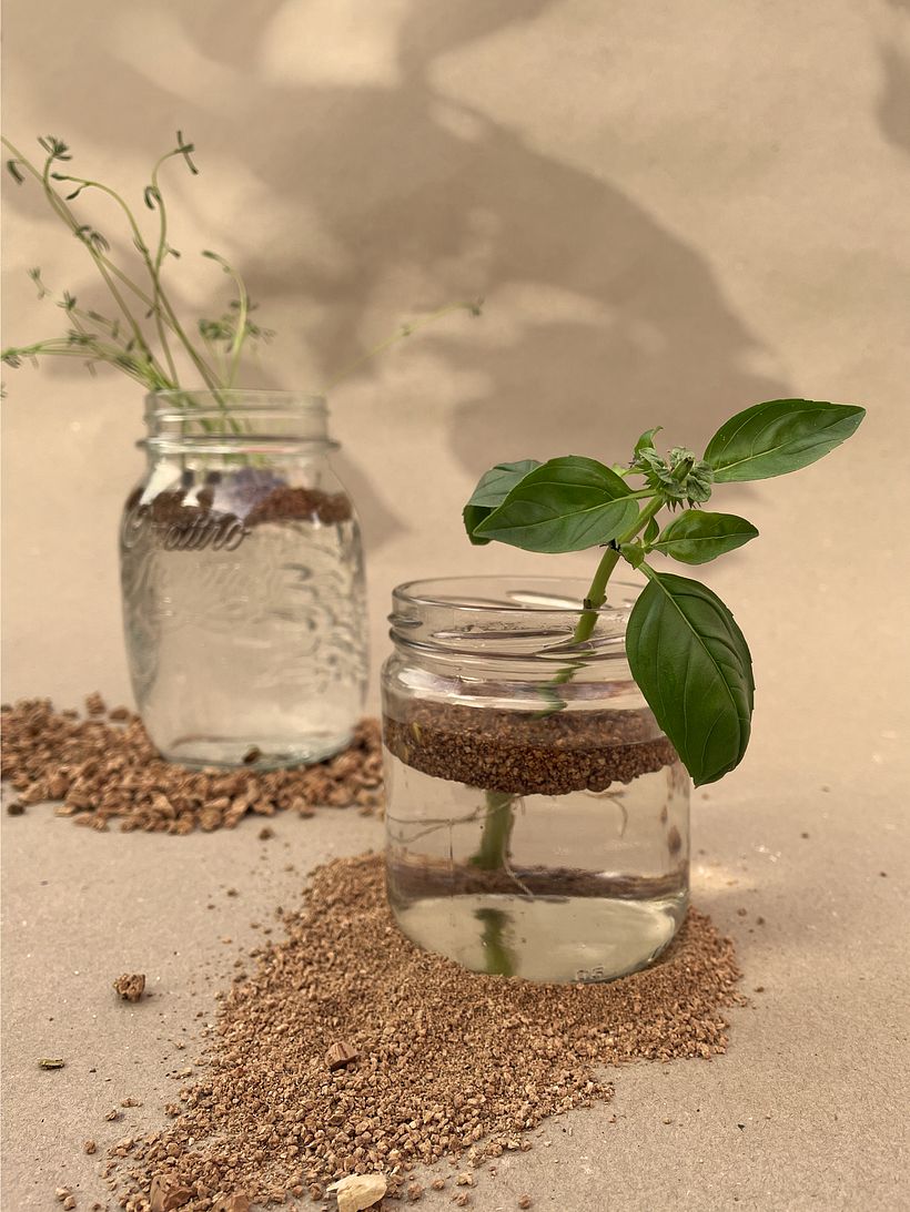 planta't 3