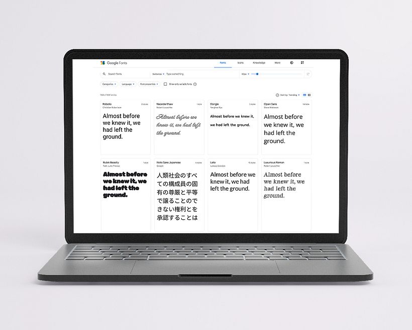 Google Fonts