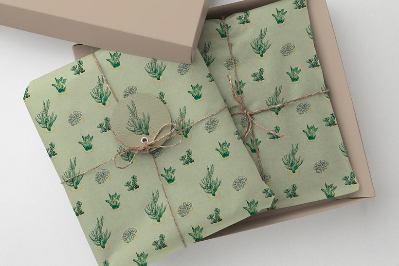 aplicacions gràfiques - paper