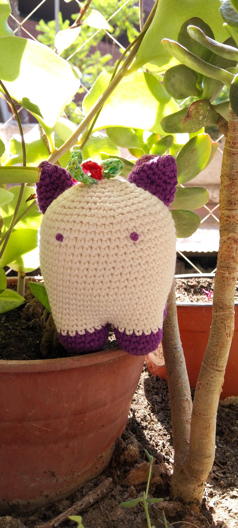 Mangato regando el jardín.