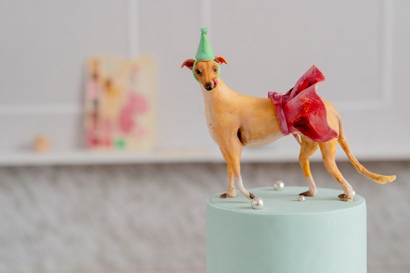 Mi Proyecto del curso: crea toppers de animales con chocolate moldeable - Diseño