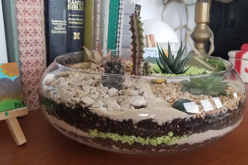 Mi Proyecto del curso: Arte vegetal: crea tu propio terrario abierto 4