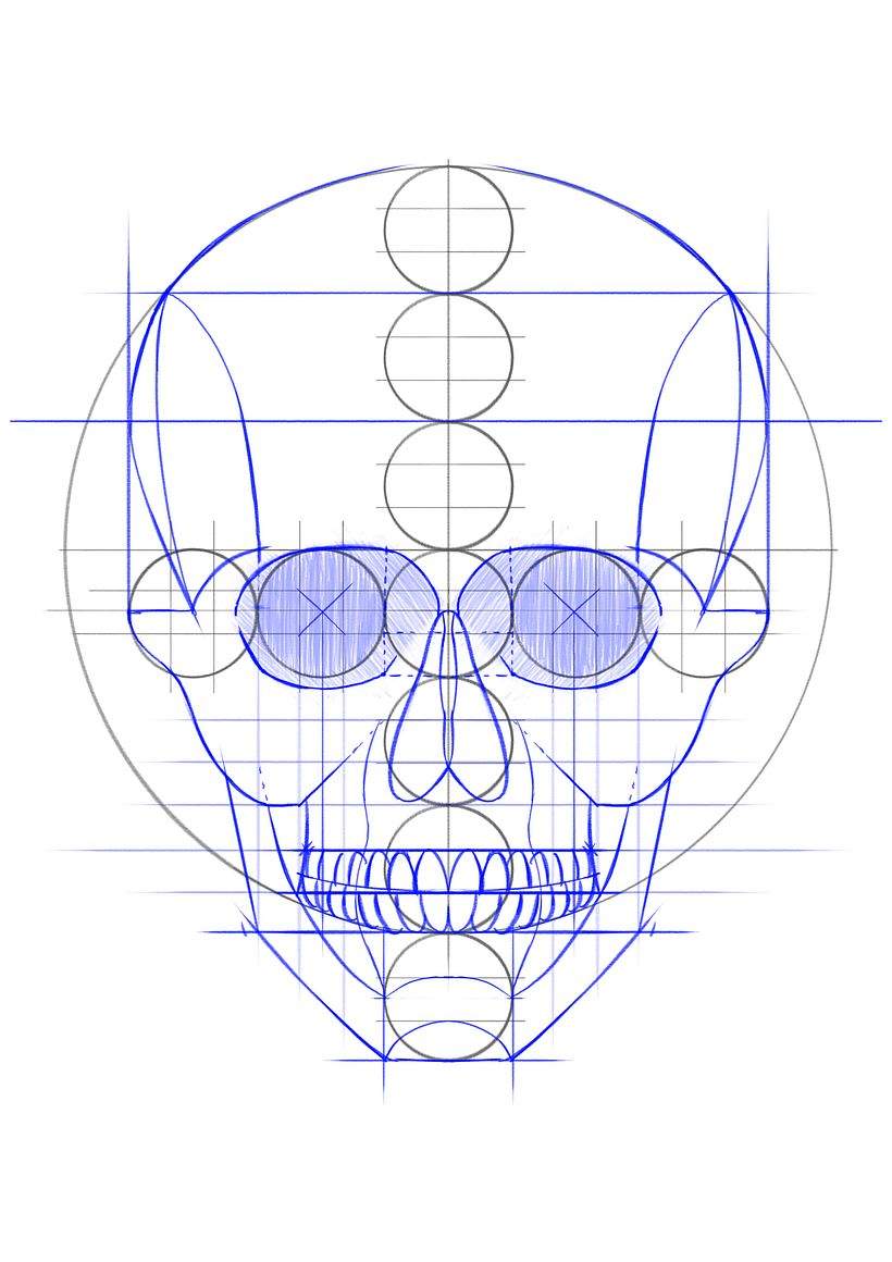 Mi Proyecto del curso: Dibujo anatómico de la cabeza humana - Bellas Artes