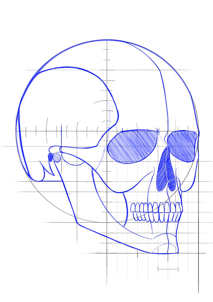 Mi Proyecto del curso: Dibujo anatómico de la cabeza humana - Bellas Artes