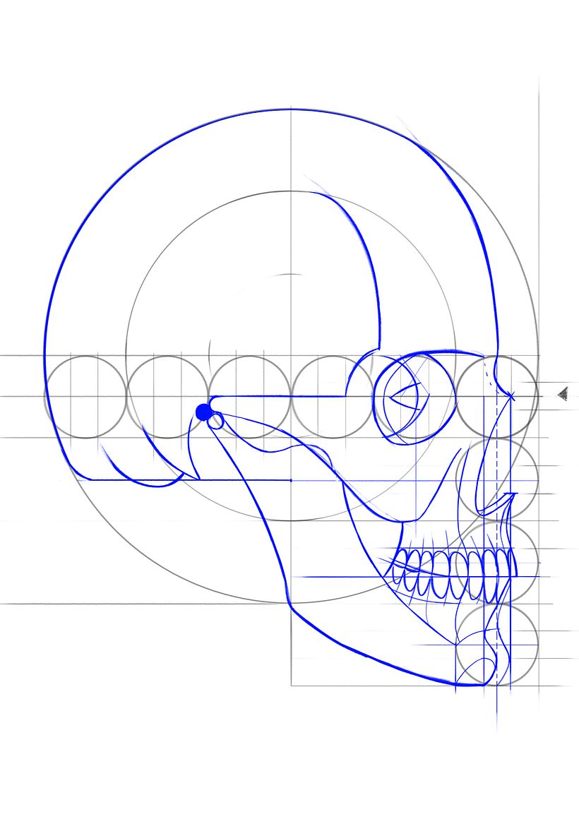 Mi Proyecto del curso: Dibujo anatómico de la cabeza humana - Bellas Artes