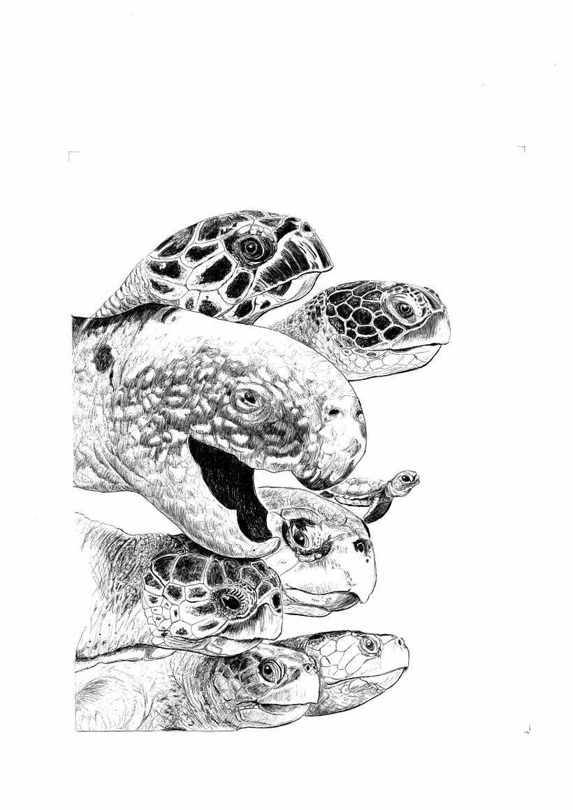 This is the ballpoint pen work on paper