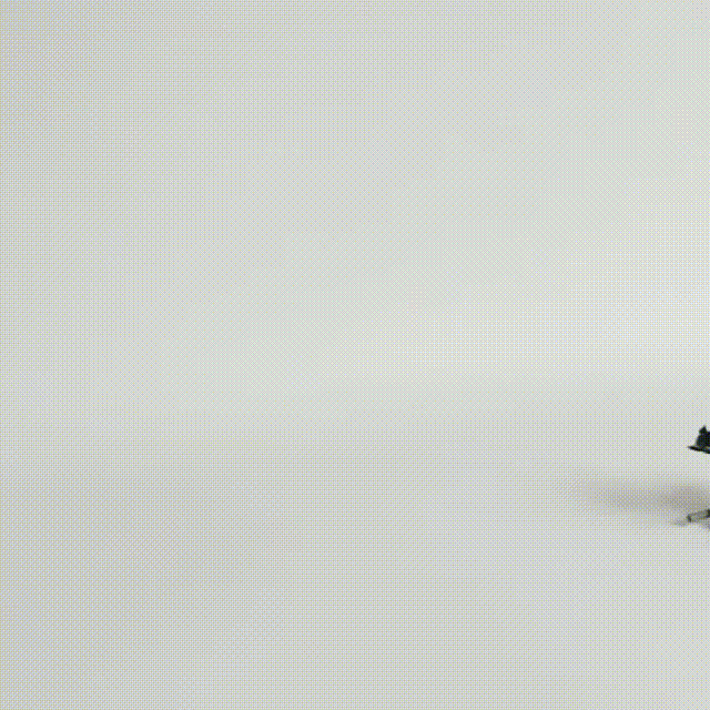 Está fue la primera práctica.