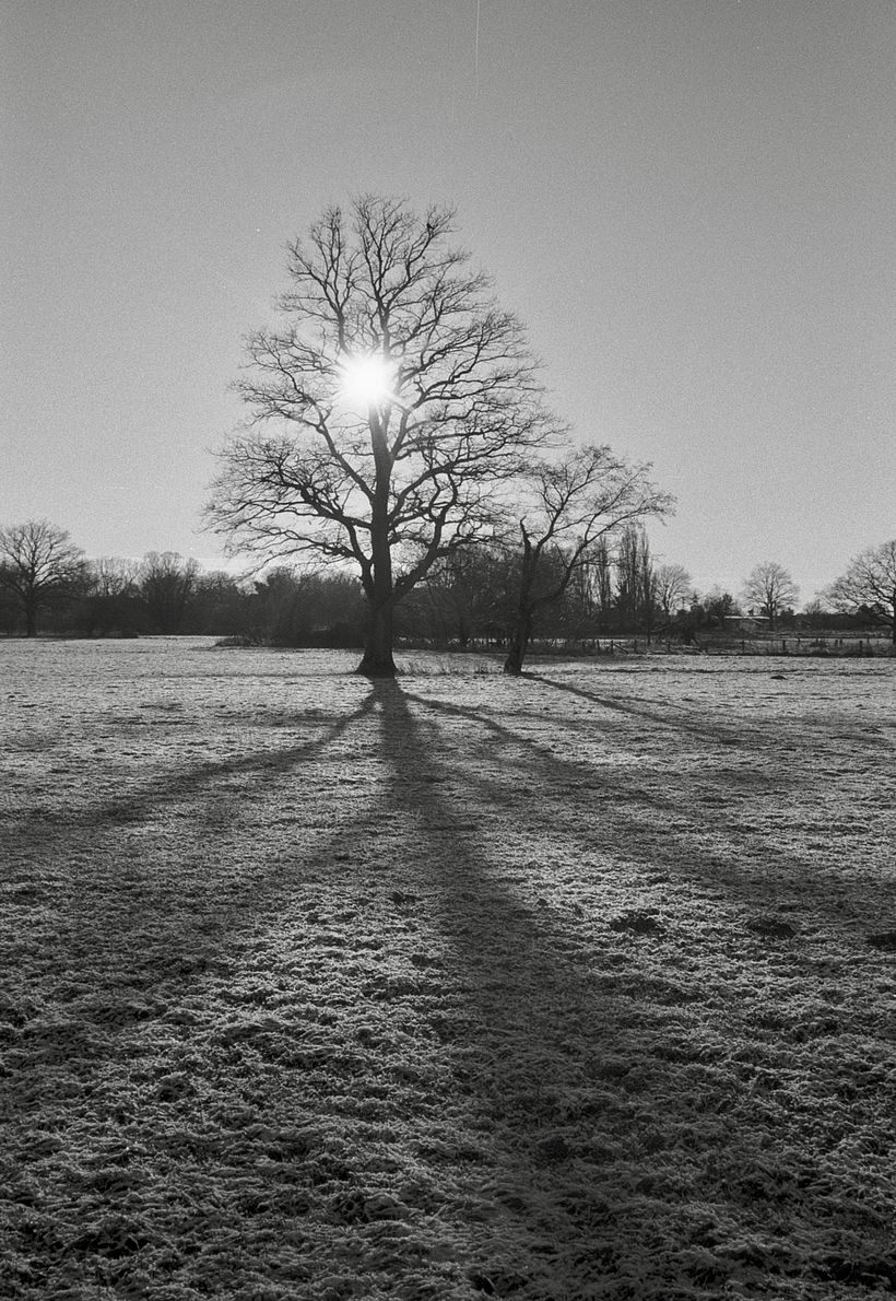 My first self developed black and white film - point and shoot over Christmas 2
