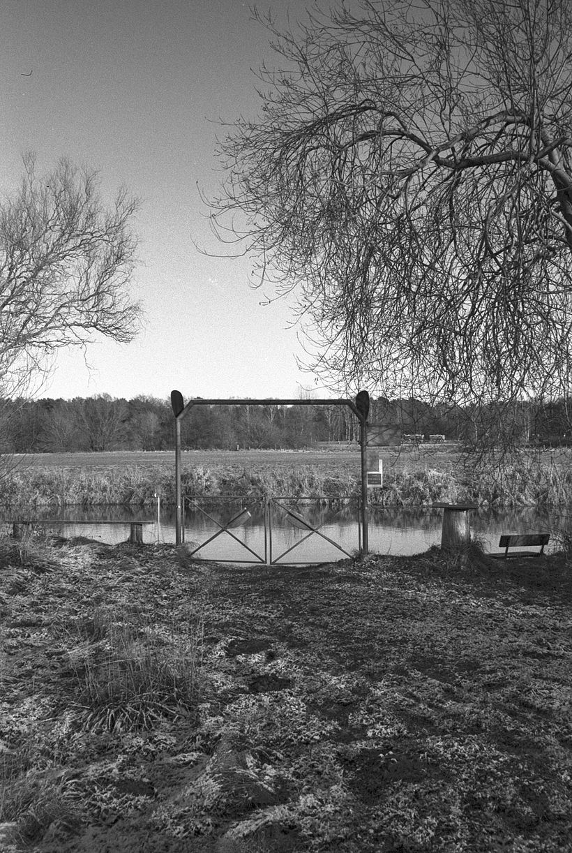 My first self developed black and white film - point and shoot over Christmas 4