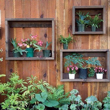 USO DE PLANTAS Y RESIDUOS DE MADERA.