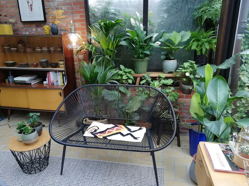 He cambiado la dracaena de la ventana por una Estrelitzia o Ave del Paraíso. También he puesto Kentias para la sombra
