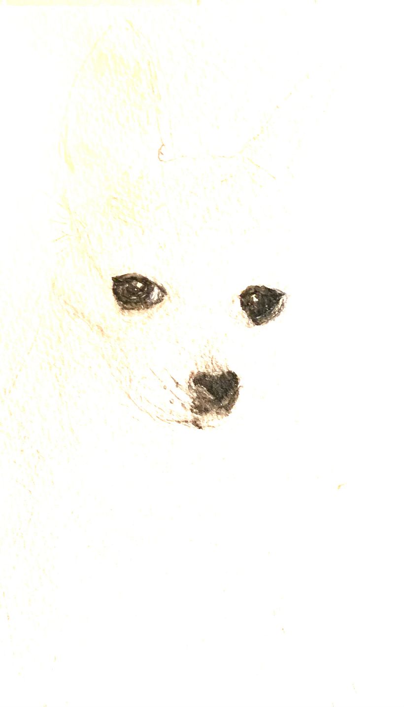 Chihuahua eyes          Sarah says to start Painting the eyes first.