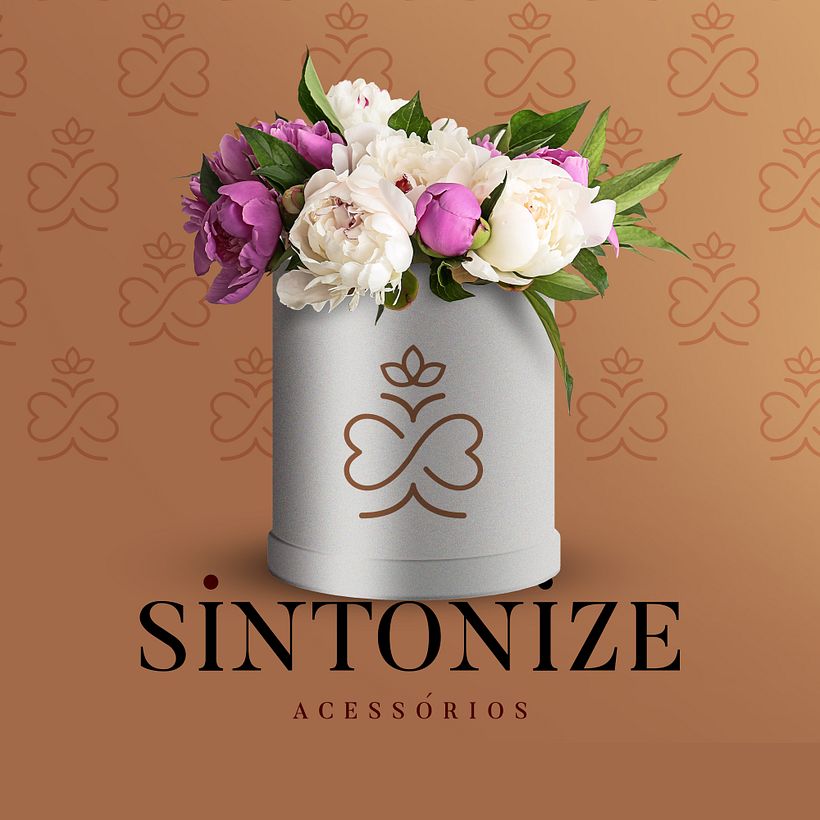 Sintonize 17